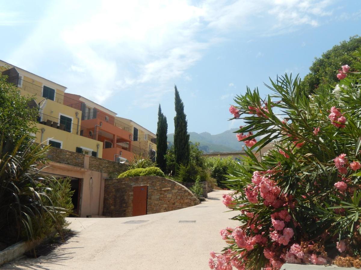Brando Erbalunga - Residence Les Bosquets - Cap Corse Location מראה חיצוני תמונה